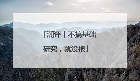 潮评丨不搞基础研究，就没根
